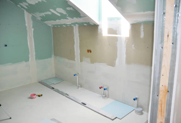 Best Black Mold Removal  in Magnolia, NJ