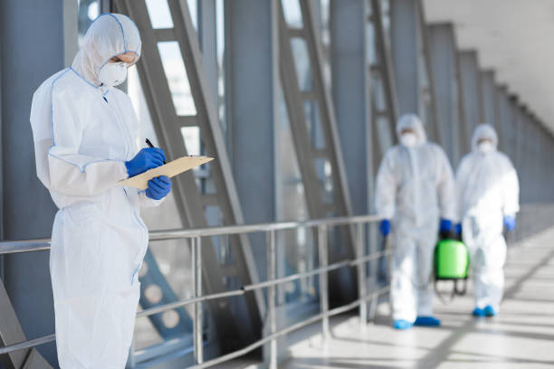 Trusted Magnolia, NJ Mold Removal Experts