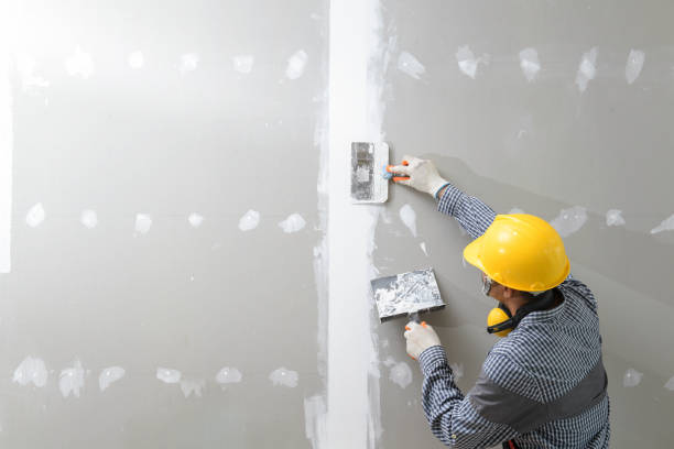 Mold Documentation for Insurance Claims in Magnolia, NJ