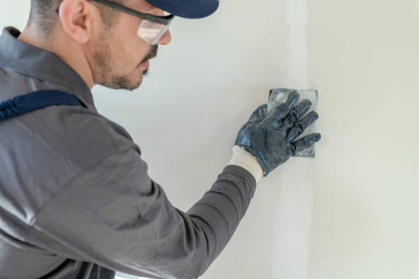 Best Comprehensive Air Testing for Mold Contaminants  in Magnolia, NJ