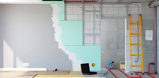 Best Airborne Mold Testing  in Magnolia, NJ
