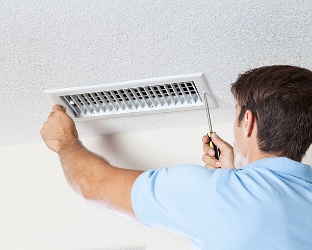 Best Mold Damage Restoration  in Magnolia, NJ