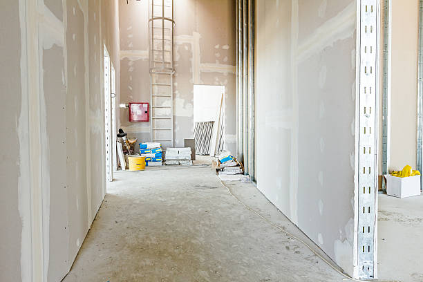 Best Post-Construction Mold Inspection  in Magnolia, NJ